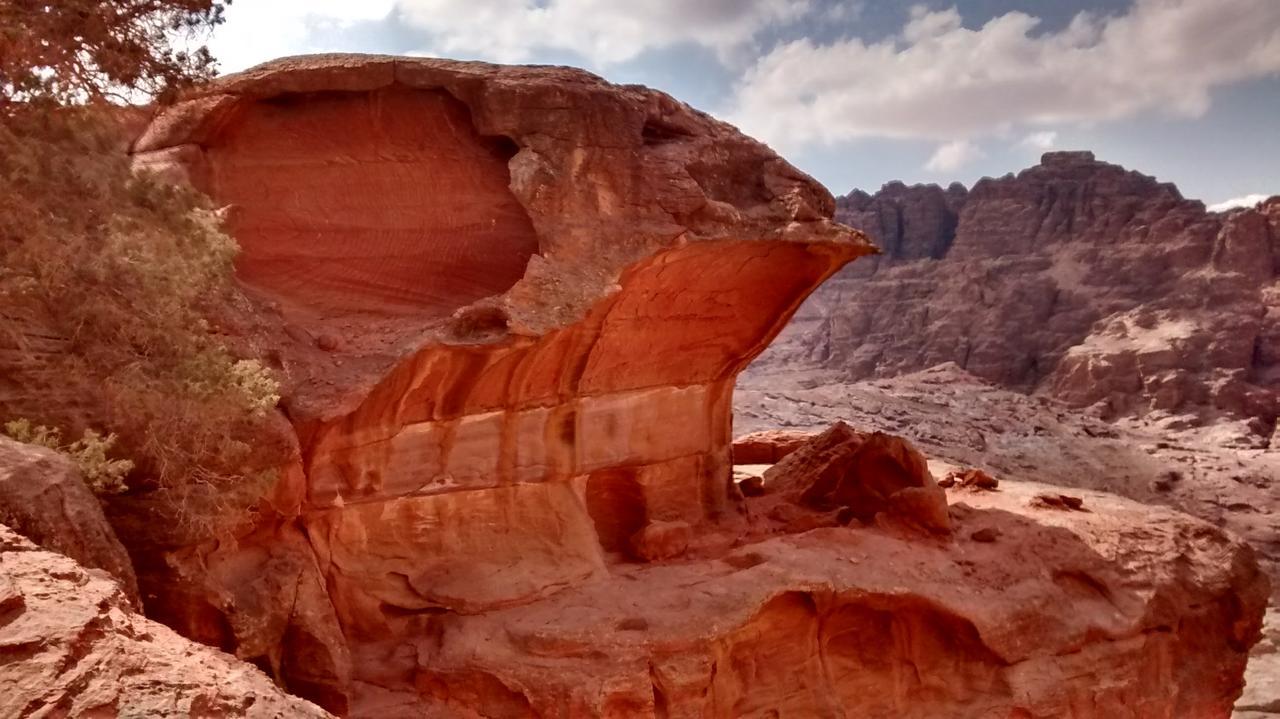 Petra Bedouin Bed And Breakfast Ваді-Муса Екстер'єр фото