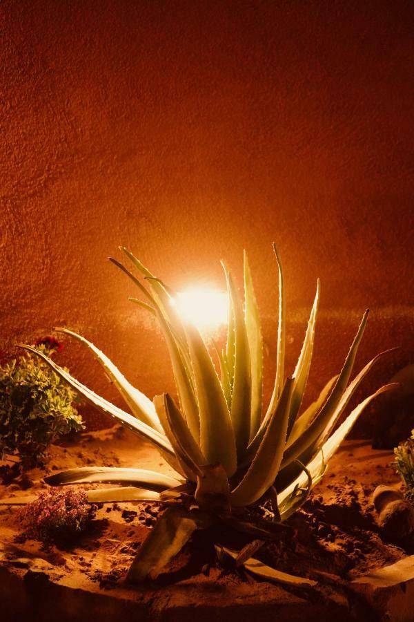 Petra Bedouin Bed And Breakfast Ваді-Муса Екстер'єр фото